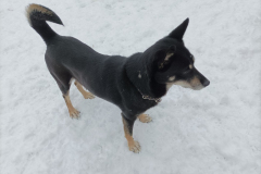 PHOTO-2026-02-27-11-58-21