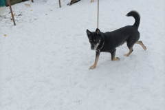 PHOTO-2026-02-27-11-58-33