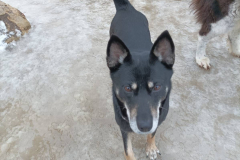 PHOTO-2026-02-27-11-58-49