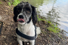 PHOTO-2025-08-18-13-50-49