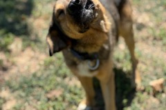 PHOTO-2025-08-27-12-17-32-1