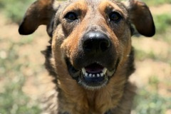 PHOTO-2025-08-27-12-17-32-2