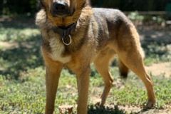 PHOTO-2025-08-27-12-17-32-3