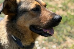 PHOTO-2025-08-27-12-17-32