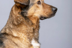 PHOTO-2026-02-20-11-22-58-1