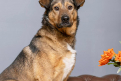 PHOTO-2026-02-20-11-22-58