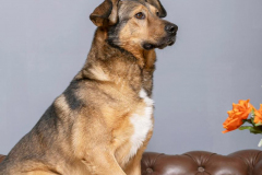 PHOTO-2026-02-20-11-22-59-1