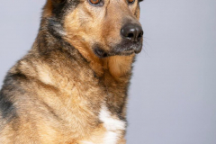 PHOTO-2026-02-20-11-22-59-2