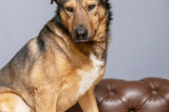 PHOTO-2026-02-20-11-22-59