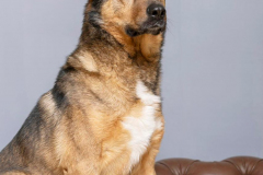 PHOTO-2026-02-20-11-23-00-1