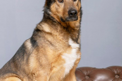 PHOTO-2026-02-20-11-23-00