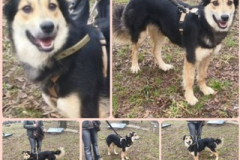 PHOTO-2026-03-28-16-03-44