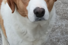 PHOTO-2026-02-27-08-41-33