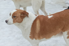 PHOTO-2026-02-27-08-41-42