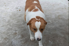 PHOTO-2026-02-27-08-41-58