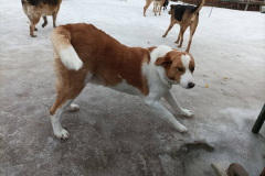 PHOTO-2026-02-27-08-42-05