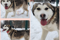 PHOTO-2025-08-26-09-33-15