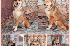 PHOTO-2025-12-09-14-41-59