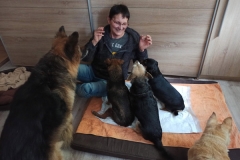 edytas-hunde-2