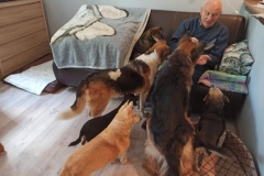 edytas-hunde-3