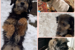 PHOTO-2026-02-04-16-11-25