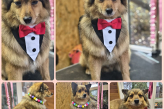 PHOTO-2025-11-30-19-39-52