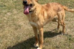 PHOTO-2025-08-27-12-22-04-1