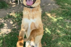 PHOTO-2025-08-27-12-22-04-2