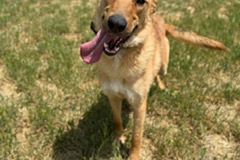 PHOTO-2025-08-27-12-22-04