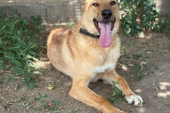 PHOTO-2025-08-27-12-22-05