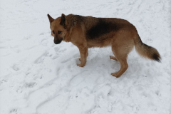 PHOTO-2026-02-27-12-01-18