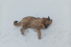 PHOTO-2026-02-27-12-01-26