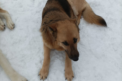 PHOTO-2026-02-27-12-01-32