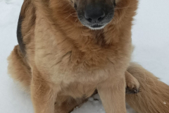 PHOTO-2026-02-27-12-01-51