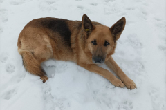 PHOTO-2026-02-27-12-01-58