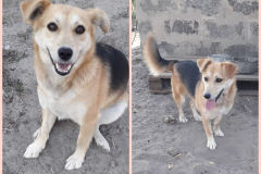 PHOTO-2025-11-11-17-08-29