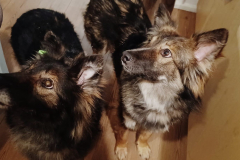 8787c96e-91b0-4561-89fb-be43cae578ec