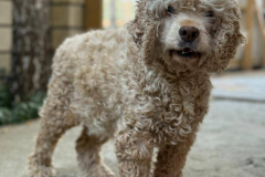 PHOTO-2025-11-08-18-34-22