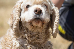 PHOTO-2025-11-08-18-34-23-1