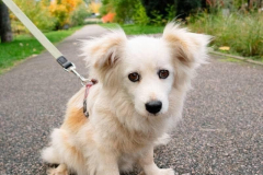 PHOTO-2025-11-18-14-13-00