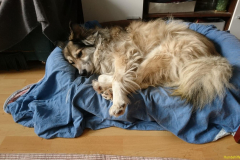 PHOTO-2025-12-13-13-15-00