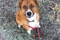 PHOTO-2026-01-04-17-55-42-1