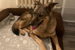 PHOTO-2026-02-08-20-08-29