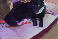 PHOTO-2026-03-15-09-55-53