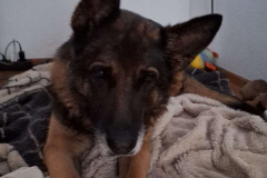 PHOTO-2026-03-15-15-50-38