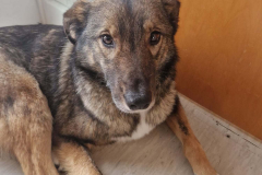 PHOTO-2026-03-17-06-07-09