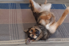 PHOTO-2026-03-30-14-54-49