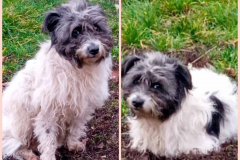 PHOTO-2025-11-18-20-45-50