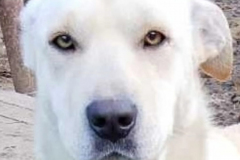 PHOTO-2026-04-28-11-13-17