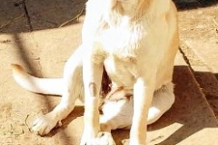 PHOTO-2026-04-28-11-14-18